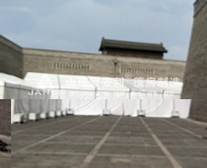 成龍國際電影周